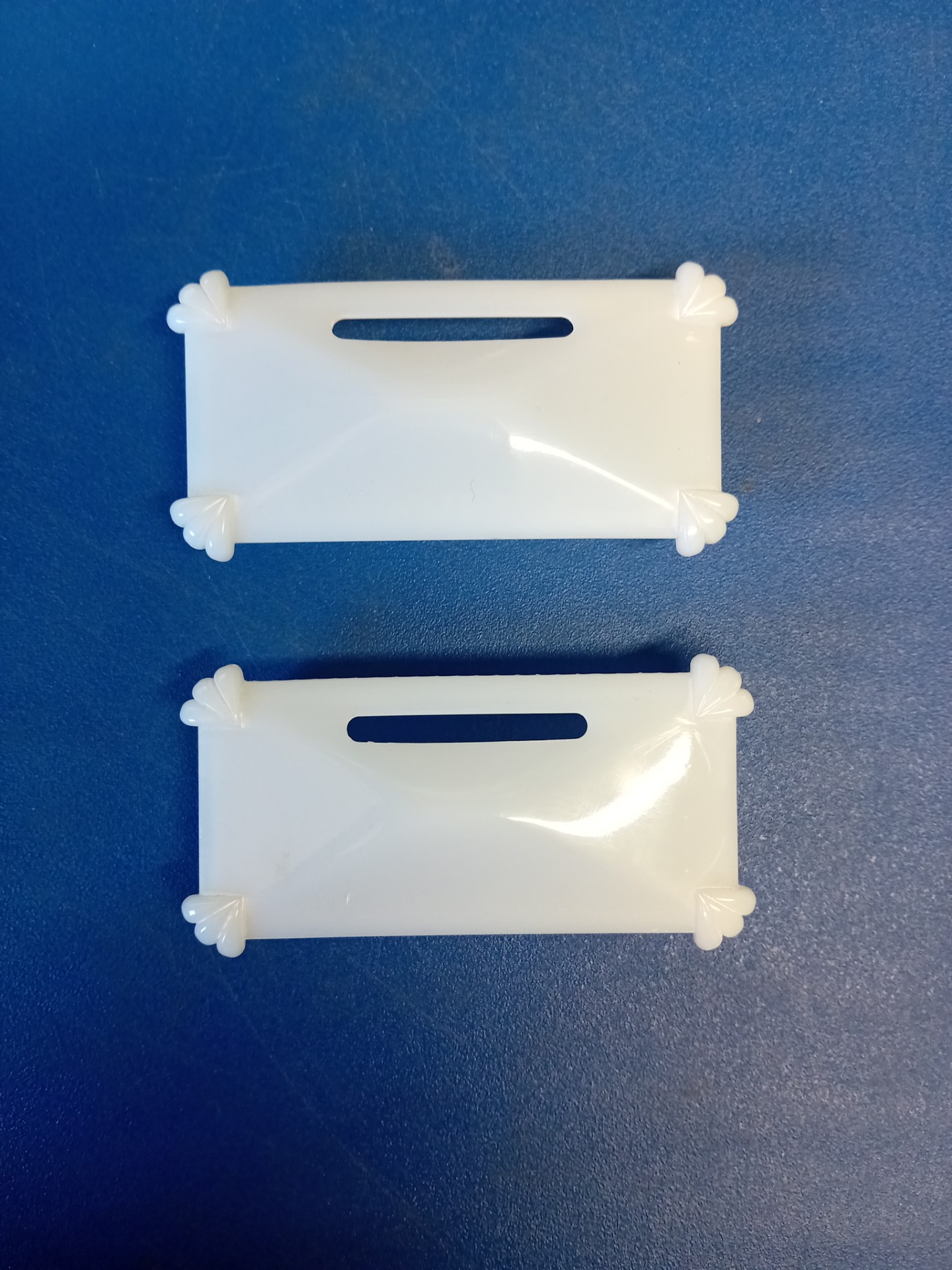 Interior Light Lenses Cyclops 1x Pair Only